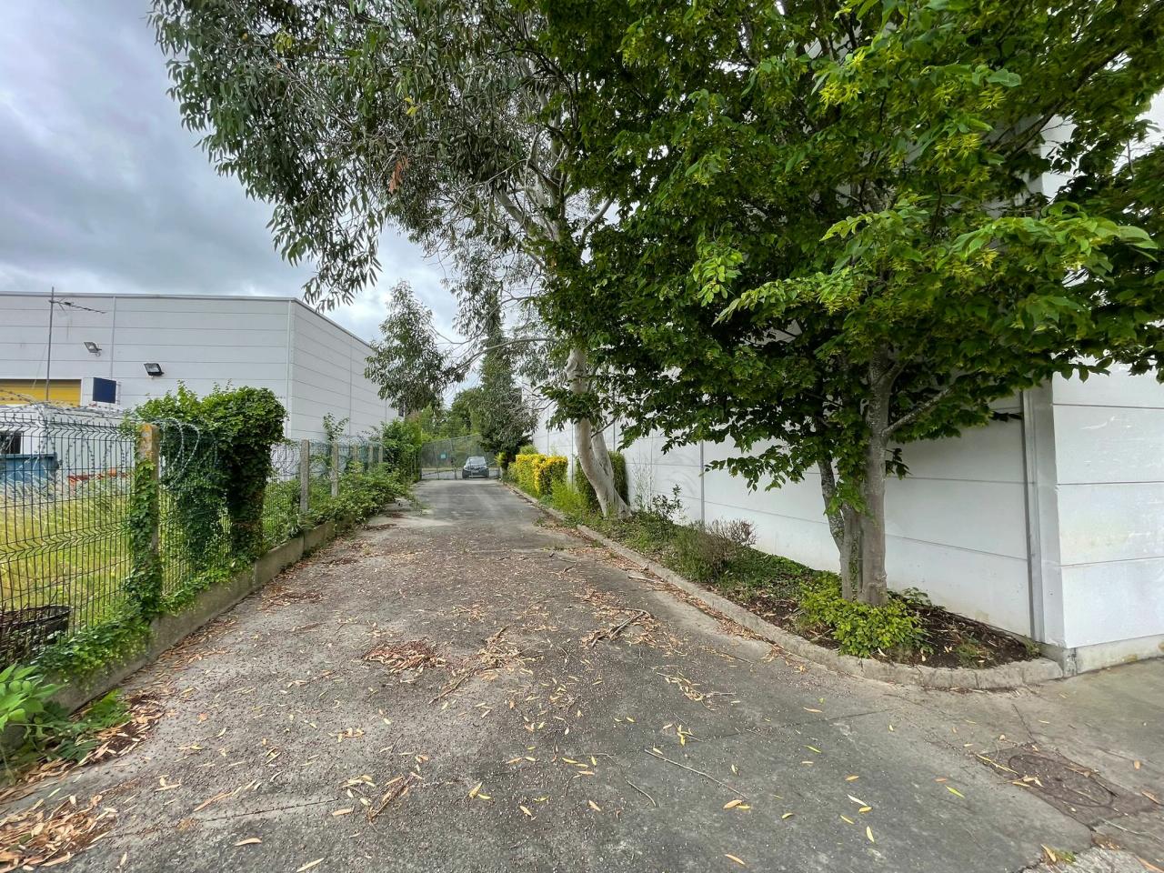 Local d'activité Lesquin 800m² Location local d'activité Lesquin Nord OLACT2533411 5